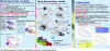 Figure 29 - Clinical hematology, modeling (geo-mathematical) and simulation through the creation of a 12-bed hospital department in Calais [41] [48] [136] [137] [138] [139] [140] [141] [142]