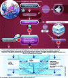 Figure 8 - Early management of patients with stroke or transient ischemic attack (TIA) [74]