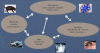 Figure 1 - An infectious disease is a particularly complex system: many players, with complex mechanisms, on several scales (individual and collective), all in relation to each other and to their environments (natural, social, economic).