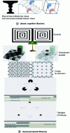 Figure 19 - Serious game to detect the loss of visual illusions