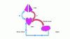 Figure 2 - Schematic diagram of blood circulation. Pulmonary artery (ap), pulmonary vein (vp). The main arterial network begins with the aorta. The main venous network flows into the heart via the inferior vena cava.