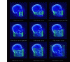 Figure 8 - Example of reconstruction with different fields of view. Depending on the area of interest, different fields of view (Fiel Of View - FOV) are available to optimize the volume examination (FOV/Dose/Spatial Resolution trade-off) (Source i Cat technology)