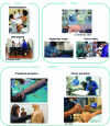 Figure 4 - Classification of media for acquiring technical and non-technical skills