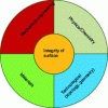 Figure 1 - Different origins of surface integrity (according to [6] and [10])