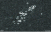 Figure 8 - Porosity of a 3Y-TZP zirconia dental ceramic, observed with a scanning electron microscope (SEM) [35].