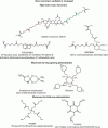 Figure 13 - New monomers, marketed and envisaged for the development of resinous
matrices