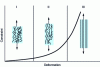 Figure 6 - Different phases in the contribution of collagen fibers to the response of vascular tissues to uniaxial traction