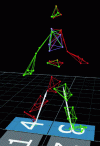 Figure 8 - Visualization using Nexus software (Vicon, Oxford Metrix, UK) of a subject during the bipodal stance phase of the gait cycle with representation of ground reaction forces on the feet.