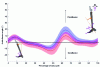 Figure 9 - Changes in ankle flexion angle (in degrees) during the control group's gait cycle while walking on flat ground (blue) and down a 12% slope (red).