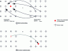 Figure 7 - Difference between direct and inverse transformation approaches: direct transformation requires interpolation from samples with an irregular spatial distribution, whereas inverse transformation requires interpolation from samples placed on a regular grid.