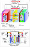 Figure 26 - Diagram of a lithium-ion battery