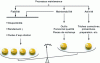 Figure 12 - Cost-benefit ratio of the maintenance process