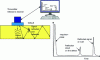 Figure 11 - Principle of ultrasonic testing using the time-of-flight technique