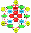 Figure 2 - Relationships between large companies, SMEs, ETIs and startups