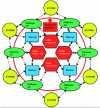 Figure 2 - Relations between large companies, SMEs, ETIs and start-ups