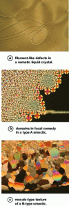 Figure 1 - Polarizing microscope view of textures with typical defects in nematic or smectic liquid crystal