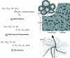 Figure 3 - Chemical formulas for perfluorosulfonated membranes and proposed structural models for Nafion®.