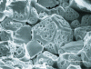 Figure 4 - Precipitation of fission gases in UO2 after irradiation and formation of a network of intergranular channels allowing their release from the fuel.