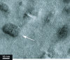 Figure 11 - High-resolution transmission electron microscopy image of K material0.95Pb20SbTe22 showing K-Sb-rich nanoprecipitates in the PbTe matrix [40]