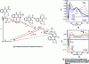 Figure 16 - Example of nanosecond and microsecond time-resolved spectroscopy of a photochromic molecule