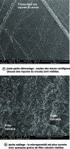 Figure 1 - SEM micrographs of the concrete surface formed with a PVC mould