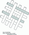 Figure 2 - Diagram of a fabric composed of biocidal and normal fibers