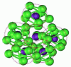 Figure 2 - Structure of Ni81B19 metal glass consisting of an assembly of clusters centered on a solute. Molecular dynamics simulation (from )