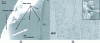 Figure 20 - Scanning electron microscopy observation of a Zr57Cu20Al10Ni8Ti5 alloy after fracture in the compression test shown in figure . (a) Image of a lateral section showing the emergence of shear bands; (b) ductile fracture facies with a sheared vein structure. 