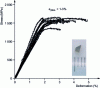 Figure 26 - Size effect: a sample with a form factor greater than 1.3 can exhibit ductility of up to 3%, here on a Zr57Cu20Al10 Ni8Ti3 glass. 