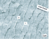 Figure 31 - Fracture facies after fatigue testing 