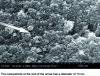 Figure 11 - Nanostructure of a K-PSS geopolymer, (K)-poly(sialate-siloxo), Si:Al = 2 (after W. Kriven et al. [20])