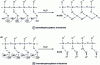 Figure 15 - Metakaolinite MK-750 Si2O5Al2O2 (2SiO2.Al2O3)