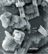 Figure 17 - Sheet structure of metakaolin particles [19].