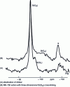 Figure 18 - NMR spectra of 29Si [2]