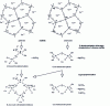 Figure 4 - Stages in the alkalination of blast furnace slag