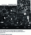 Figure 6 - Electron micrograph of slag/MK-750 geopolymer cement