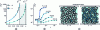 Figure 7 - Numerical simulations of a suspension of rubbing spheres sheared in a Newtonian fluid, interacting via a repulsive force (adapted from [17]).