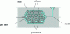 Figure 22 - Manufacture of a foam part with a dense skin by infiltration of precursors held in place by a perforated shell (view at the end of the casting process).