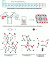 Figure 15 - Compounds with the general chemical formula [Ln2(bdc)3(H2O)4]∞