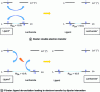 Figure 9 - Schematic representation of Dexter and Förster energy transfer mechanisms