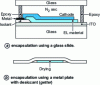 Figure 22 - Blackhead encapsulation