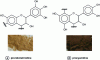 Figure 16 - Flavonoid base unit and tannin powder: (a) acacia (prorobinetinidin), and (b) maritime pine (procyanidin)