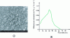 Figure 25 - (a) Micrograph and (b) pore size distribution of tannin aerogel–soy–formaldehyde