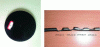 Figure 15 - Experimental grinding disc bonded with a tannin-furan matrix resin and the effect of its application in cutting a steel bar