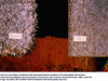 Figure 6 - Comparison of unprotected industrial particleboard exposed to the elements for 15 years in a high-UV zone at an altitude of 1,500 m.