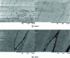 Figure 9 - Soldered interface before and after immersion in cold water