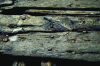 Figure 14 - Planks from the Friesland boat treated with sucrose (© cliché Per Hoffmann)