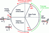 Figure 55 - Weaving cycle diagram: non-optimized synchronization (FF: closed shed, FO: open shed)