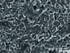 Figure 15 - Microstructure of earthenware fired at 1,150°C