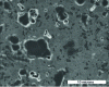 Figure 23 - SEM photograph of the microstructure of a vitreous fired at 1,250 ...